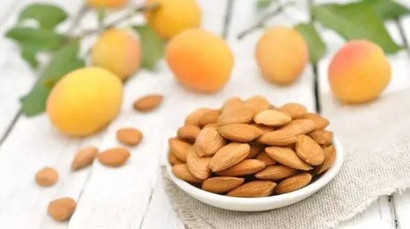 خواص دارویی هسته زرد آلو