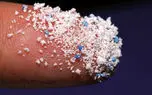 خطرات جدی میکروپلاستیک ها برای سلامت جنسی و باروری / ایرانیان ظروف یکبار مصرف پلاستیکی را چند بار مصرف می کنند!
