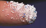 خطرات جدی میکروپلاستیک ها برای سلامت جنسی و باروری / ایرانیان ظروف یکبار مصرف پلاستیکی را چند بار مصرف می کنند!