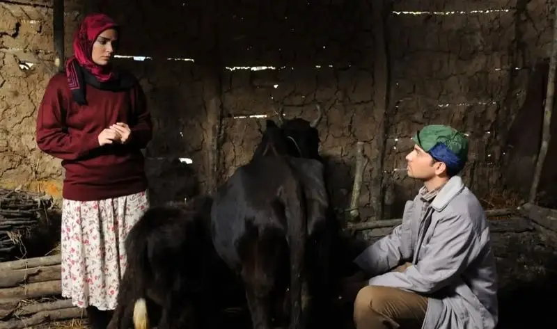 سریال از یاد رفته