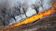 ۲۶۵هکتار از مراتع و جنگلهای آذربایجان غربی در آتش سوخت