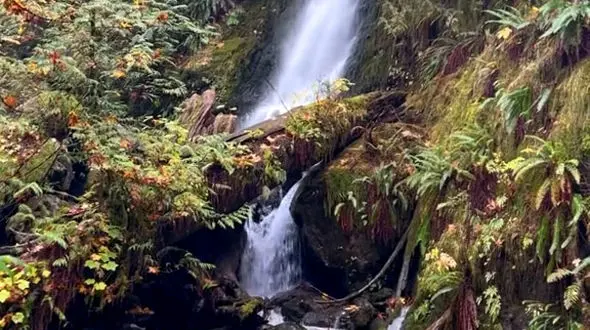 قوی باشید، برنده ها قوی ترین هستند