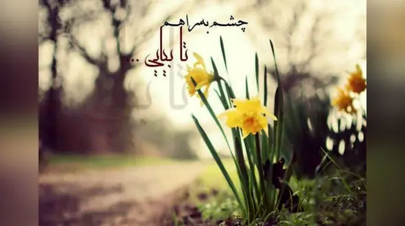 فال ابجد محشر 20 خرداد 