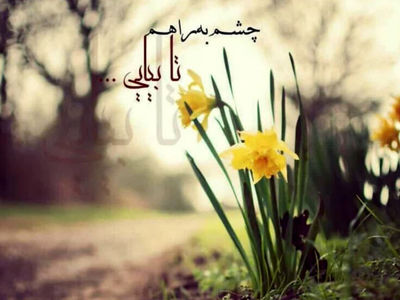 فال و طالع بینی روزانه 15 خرداد 