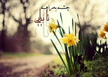 فال و طالع بینی روزانه 15 خرداد 