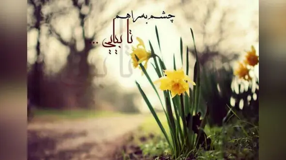 فال ابجد محشر 20 خرداد 