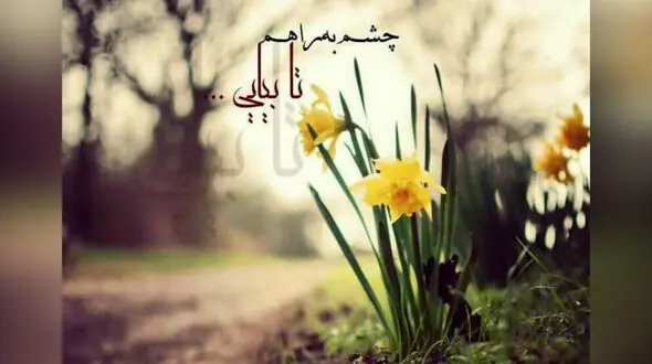 فال و طالع بینی روزانه 15 خرداد 