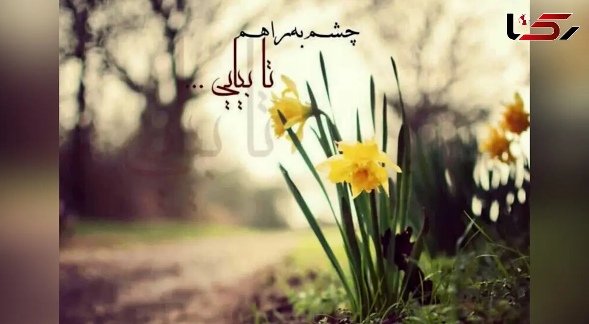 فال و طالع بینی روزانه 15 خرداد 