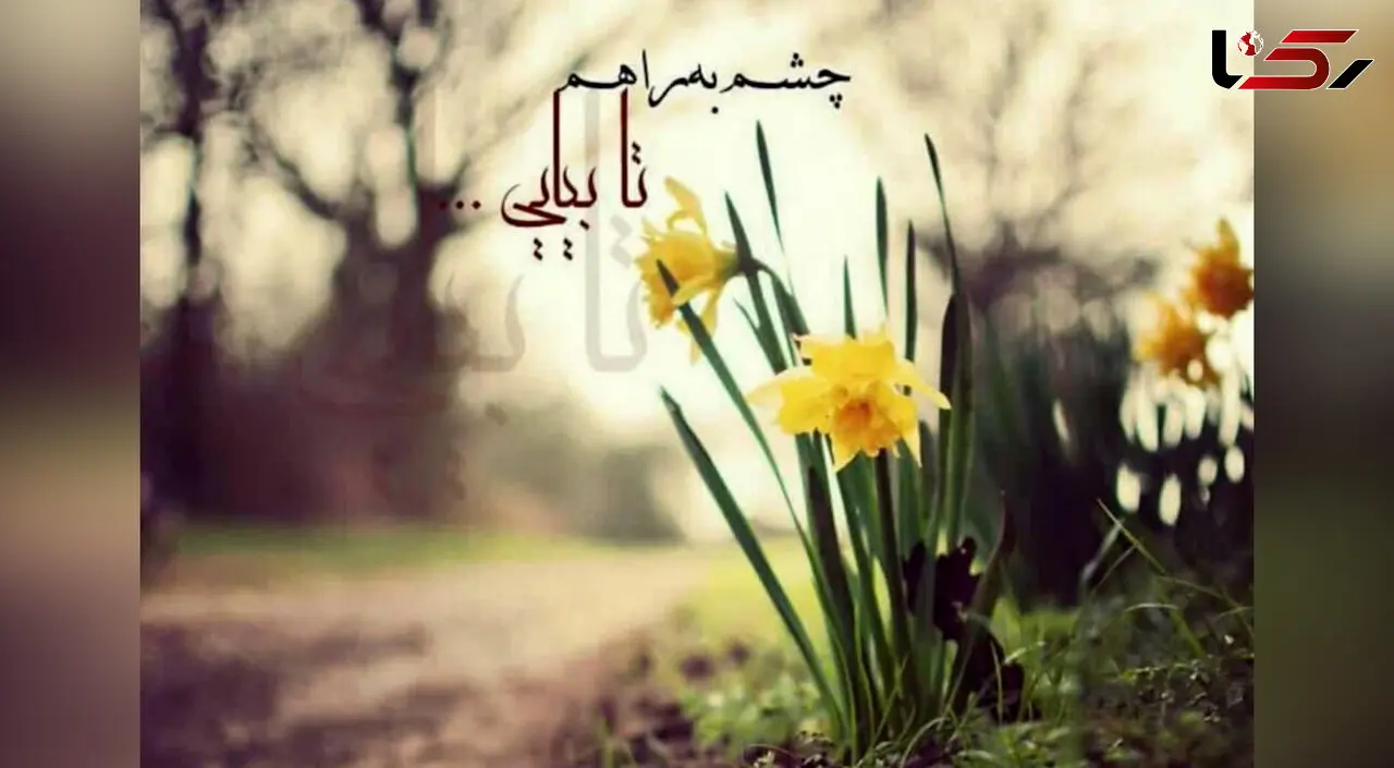 فال و طالع بینی روزانه 15 خرداد 