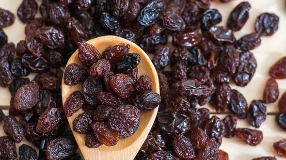 ریشه موی قوی با کشمش