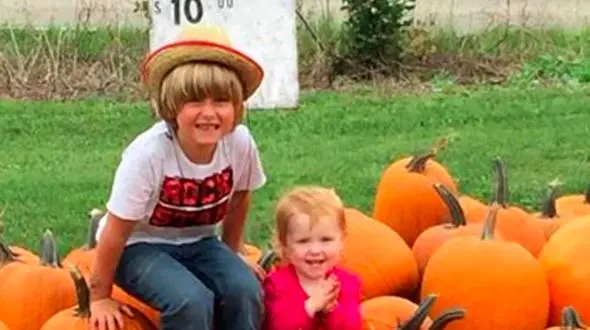 فروش کدو تنبل برای خرید سگ 