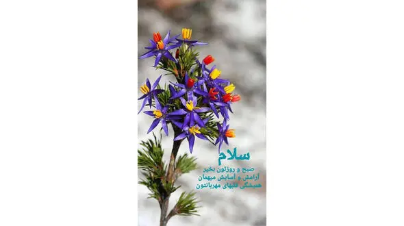فال و طالع بینی 13 خرداد + فیلم
