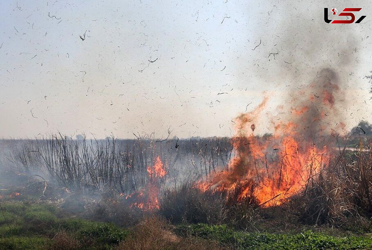  سوزاندن نیشکر و شلتوک عوامل اصلی آلودگی هوای خوزستان