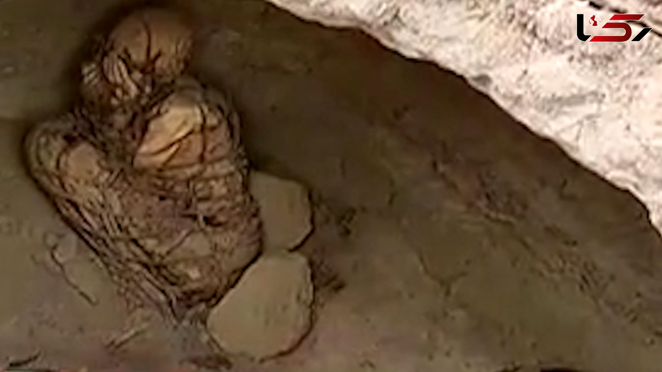 فیلم باورنکردنی از کشف مومیایی 800 ساله / در پرو رخ داد