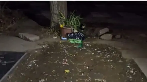 ماجرای بتن‌ریزی روی قبر قاتل شهید نظری چه بود؟ + عکس