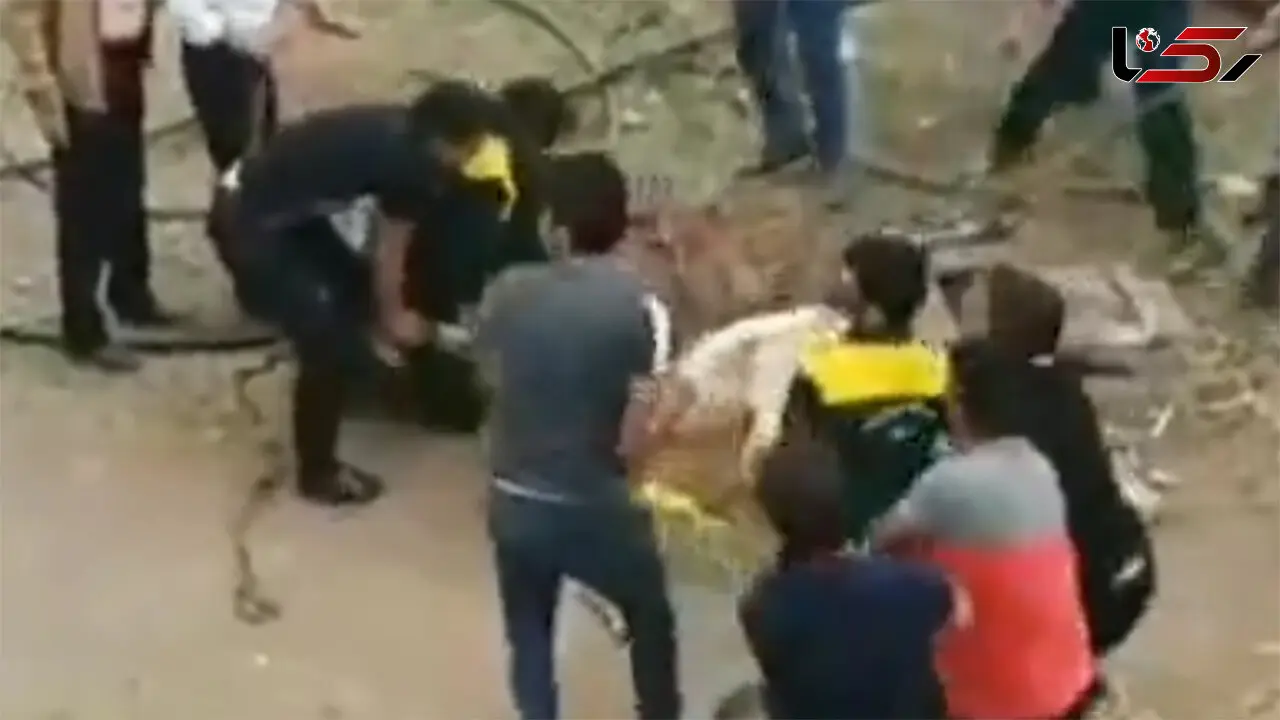 فیلم / نجات شتر گرفتار در دهنه چاه در قمصر کاشان