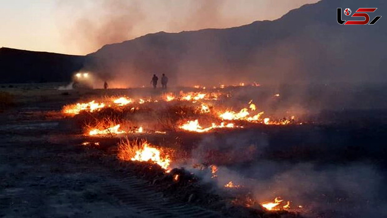 آتش سوزی سیاه کوه در  منطقه ششدار ایلام