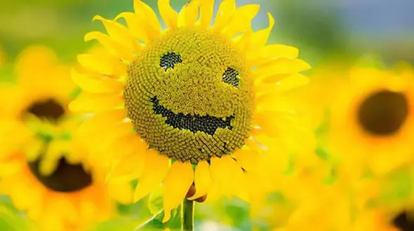 جملات انگیزشی برای داشتن حال خوب + فیلم