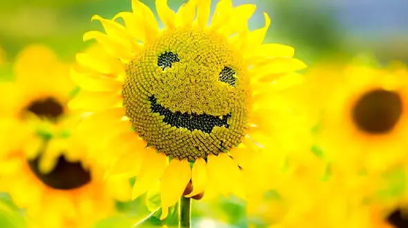 جملات انگیزشی برای داشتن حال خوب + فیلم