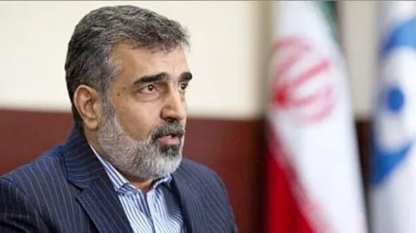 معاون سازمان انرژی اتمی: ایران تنها کشوری نیست که غنی‌سازی می‌کند و در عین حال سلاح هسته‌ای ندارد