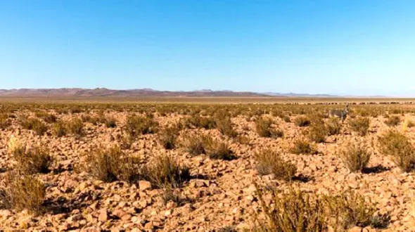 بارش باران بعد از ۵۰۰ سال یک صحرا را نابود کرد!