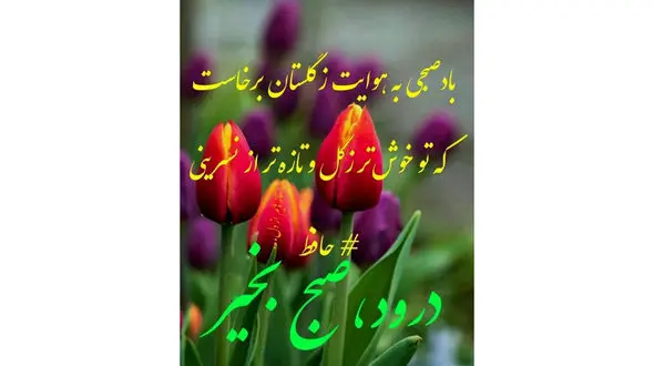 فال حافظ امروز / 7 تیر با تفسیر دقیق + فیلم