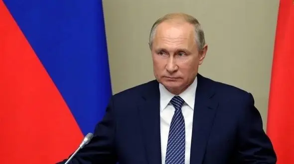 گربه ارسالی پوتین به ژاپن قرنطینه شد+عکس