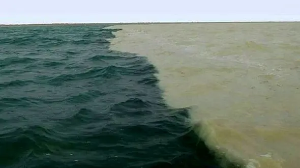 پدیده ای شگفت انگیز در خلیج گواتر چابهار + فیلم 