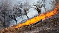 مهار آتش سوزی در منطقه کیامکی آذربایجان شرقی