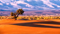 China Showcases Decades of Expertise in Combating Desertification at Global Forum
