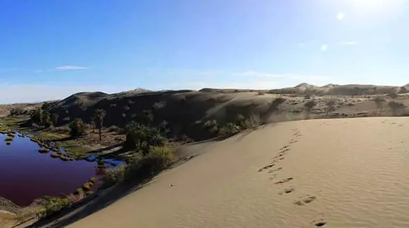 مرگ دردناک پدر و پسر 7 ساله از گرما و تشنگی در دلگان + جزییات