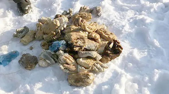 فجیع / راز شوم  دست های بریده‌ داخل یک کیف چیست؟ +  عکس