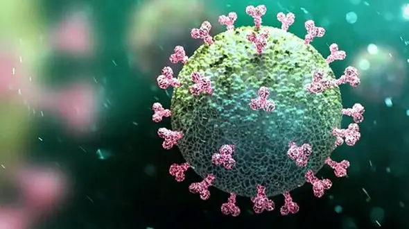 مرگ کرونایی زنان شیرازی بیشتر است! / هر 38 دقیقه یک مرگ !