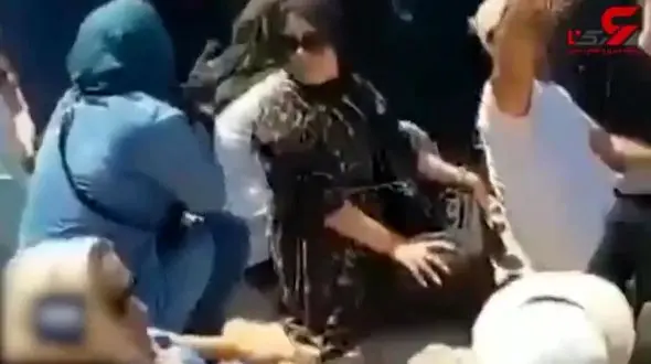 چند سگ در تهران عقیم‌ شده‌اند؟ + فیلم