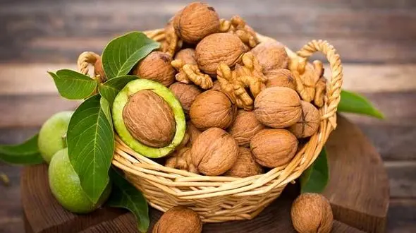 ارتباط گردو با سلامت قلب