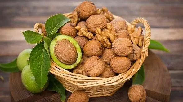 ارتباط گردو با سلامت قلب