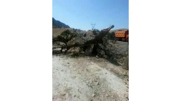 انتقام عجیب و احمقانه راننده متخلف از ماموران راهور گچساران +عکس