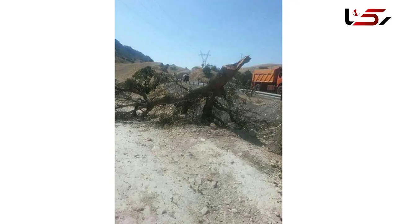 انتقام عجیب و احمقانه راننده متخلف از ماموران راهور گچساران +عکس
