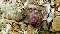سرنوشت جسد مومیایی منتسب به رضا شاه پهلوی  / آن را در کجا دفن کردند؟ + عکس