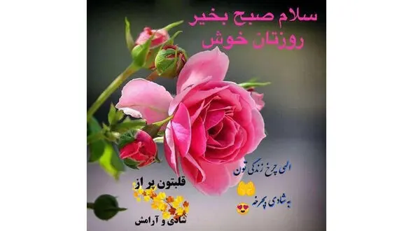 فال و طالع بینی روزانه 17 تیر + فیلم