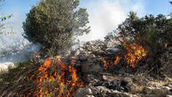 آتش‌ سوزی در مناطق صعب العبور پاوه
