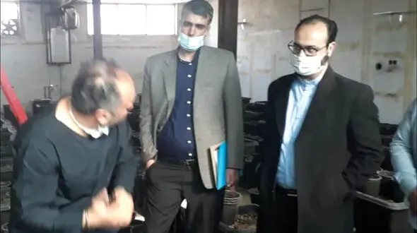 عکس / دردسر نبش قبر جنازه پوسیده برای قاتل گلخانه / در مشهد رخ داد