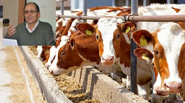 ما رکورد می‌زنیم، اما در آلودگی؛ وقتی ایران ششمین آلاینده دنیاست و هیچ‌کس پاسخگو نیست + صوت