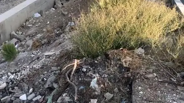 فیلم کشف یک جسد در میدان نماز شهریار تهران 