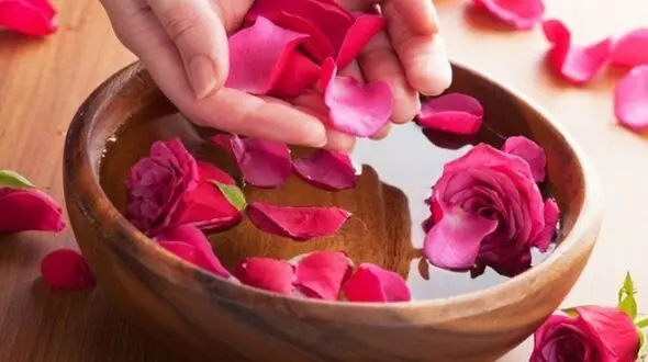 این گیاهان مقوی اعصاب هستند