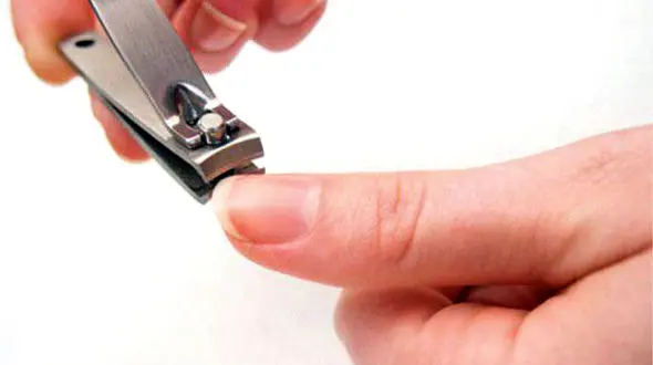 ناخن گرفتن در شب خطر مرگ را به همراه دارد؟