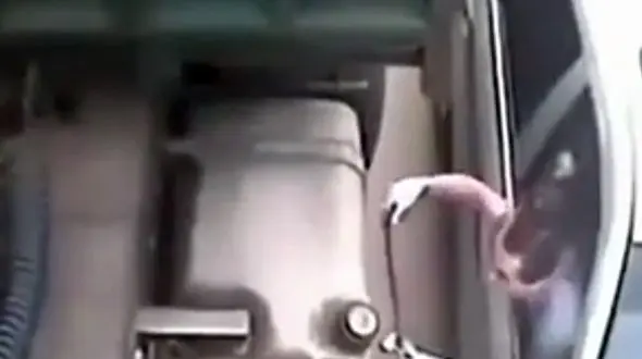 سرقت عجیب سوخت از یک کامیون + فیلم