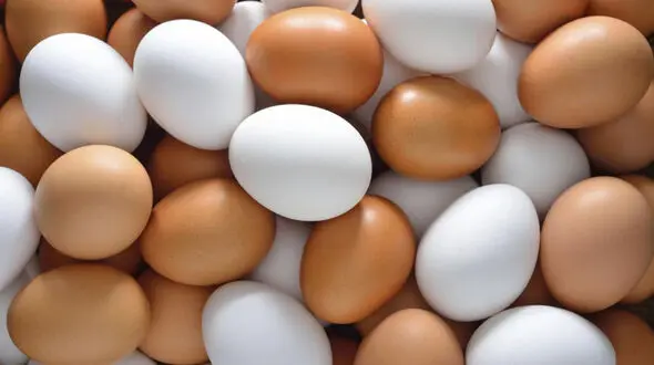 قیمت تخم مرغ در آخرین هفته مرداد 99 + جدول