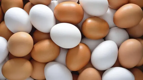 قیمت تخم مرغ در بازار امروز یکشنبه 23 شهریور 99 + جدول