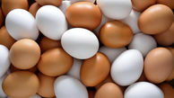افزایش نجومی قیمت تخم مرغ / شانه‌ای ۳۸هزار تومان